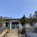 카페마나