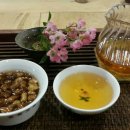 선엽스님의 자연을 마시는 힐링차