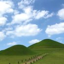 오호락2 이미지