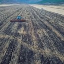 곡물농장 이미지