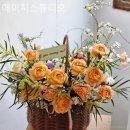 에이치스튜디오