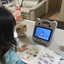 D00476 | 어린이 도서 대여 프로그램 - 5살 윙크북스 체험 후기 및 가격