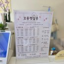 버블펫쌀롱 | 익산 애견미용 [꼬몽펫살롱]_ 아이 피부까지 생각한다면 무조건 이 곳 추천