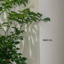 새아침한의원 이미지