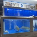 어판장(산호점) | 어판장 (산호점)