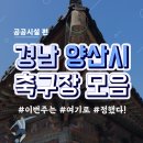 서창운동장 축구장 이미지