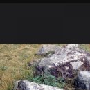 무주읍249 이미지