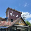 원당 칼국수 맛집 &#34;일산 교자&#34;에서 먹은 바지락칼국수, 고기만두 리얼 후기!