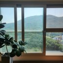 단지내리치(02-574-8500)공인 | 개포 래미안 포레스트 아파트에 대해 알아볼까요?