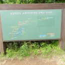 6월월례행사 "돌문화공원`지그리오름~" 이미지