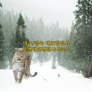 출입국행정사사무소 이미지