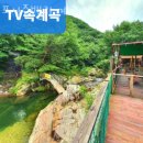 포시즌밸리계곡애견펜션 | 경기도계곡펜션 포시즌밸리 계곡애견펜션 계곡펜션vs계곡캠핑장 중 어디로?