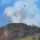 김삿갓면-3 이미지