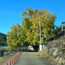 평지리마을회관 이미지