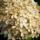 지노포트 이미지