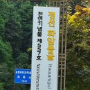 정선그림바위민박