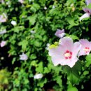 독립공원형무소역사관 이미지