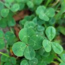 행운공원 이미지