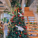 일현로 41번길 이미지