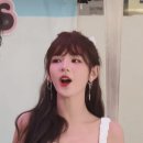 BYD 전기 픽업트럭: 샤크 6 이미지