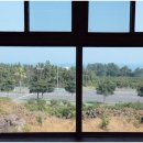 제주 하늘 바다 민박 이미지