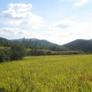 간전중앙로 이미지