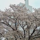 인생을 위한 10가지 작은 교훈 이미지