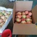 고내농장 이미지