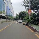 지하철강서구청역 이미지