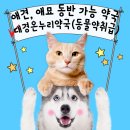 대경약국 이미지