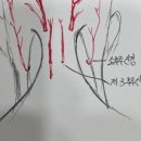 늘품애한의원 이미지