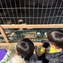 왕성목장 이미지