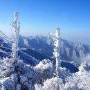 제39차 무주"덕유산" - 셔틀버스 노선 및 신청자 좌석배치도 포함 이미지