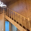 바다의 숲속 이미지