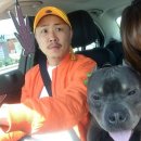 (주)애니독 이미지