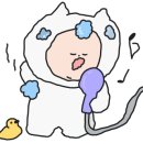 세나투어 - 서구 평리로 236 | 세나투어