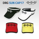 디알지(DRG) 이미지