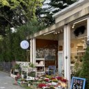 백현마을 코아루(아) | 용인 위드플라워💐따뜻한 감성과 예쁜 꽃이 가득한 공간