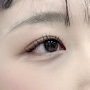 바비속눈썹