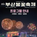 남천1-222 | 20주년 부산불꽃축제