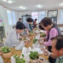 양산화분