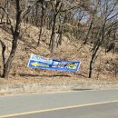 양산신-2025 | [양산 원동] 2025년 원동 미나리 축제 솔직후기, 꿀팁
