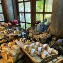 도토리 정원 이미지