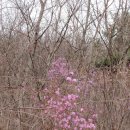 백일아침고요산길 이미지