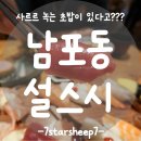 [남포동 맛집] 설스시, 새벽 어시장 재료로 만든 초밥카츠세트, 남포동 스시 진심 후기