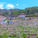 선웅농원 이미지