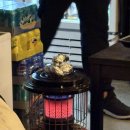 세븐일레븐 남구로시장점 | 구로 두쫀쿠 서비스? 떡볶이 맛 인정함 남구로역 술집 기와술집