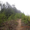 구룡달전로 이미지