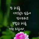연일 Daum카페