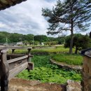 명당의 향기 이미지